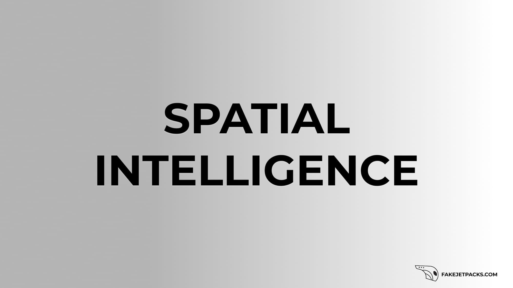 Spatial Intelligence